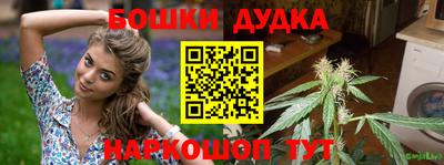 индика Ирбит
