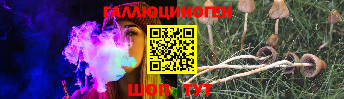 Кудрово  Галлюциногенные грибы Cubensis  купить закладку  Вход с VPN 